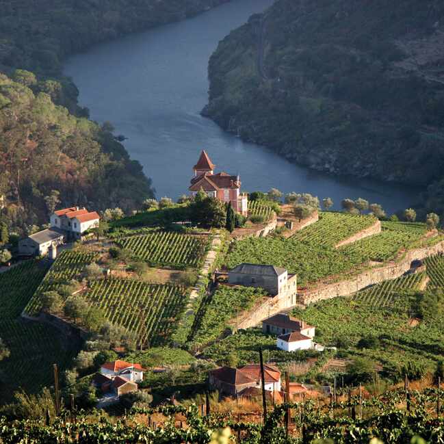 Aerial View of the Douro Valley. Portugal