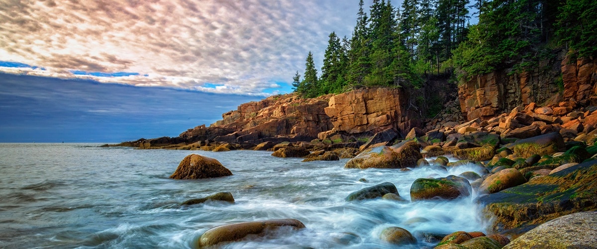 Rugged coastline with pine trees and rocky cliffs, Maine, USA