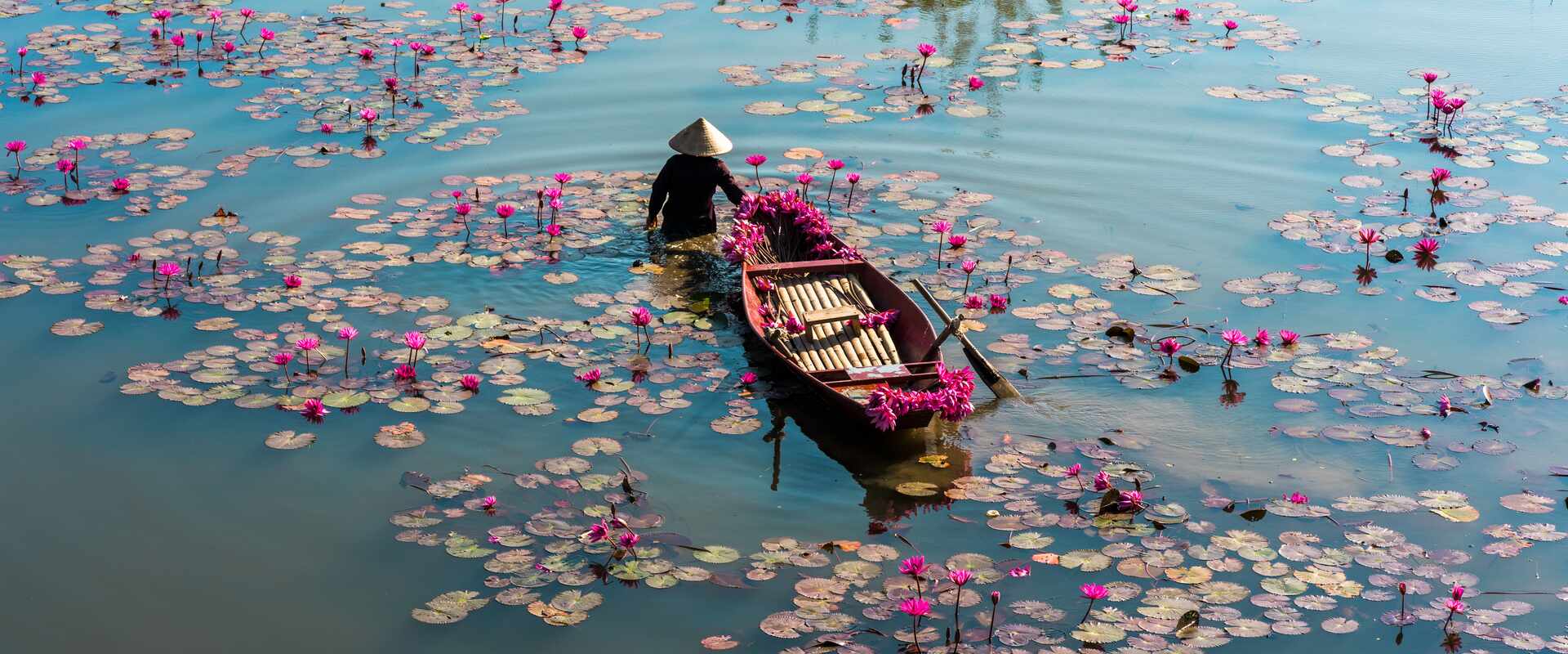 A person walking through the water pulling a boat surrounded by waterlillies