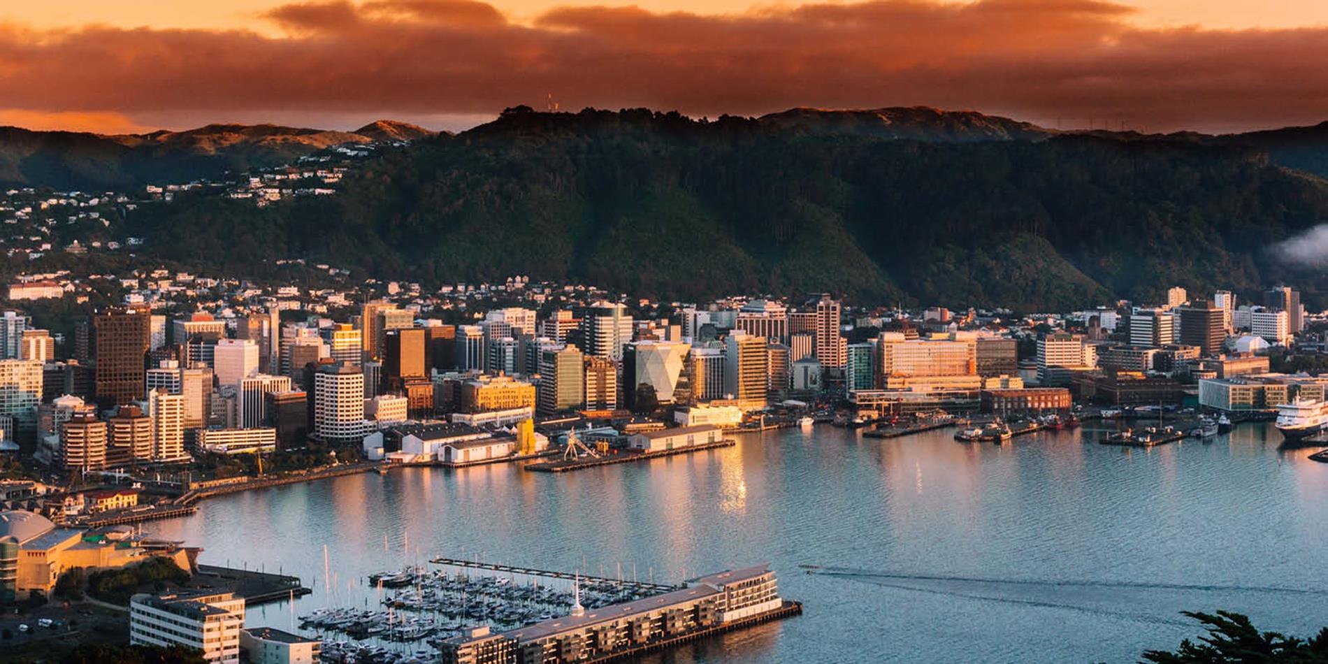 City of Wellington at Sunrise, North Island New Zealand